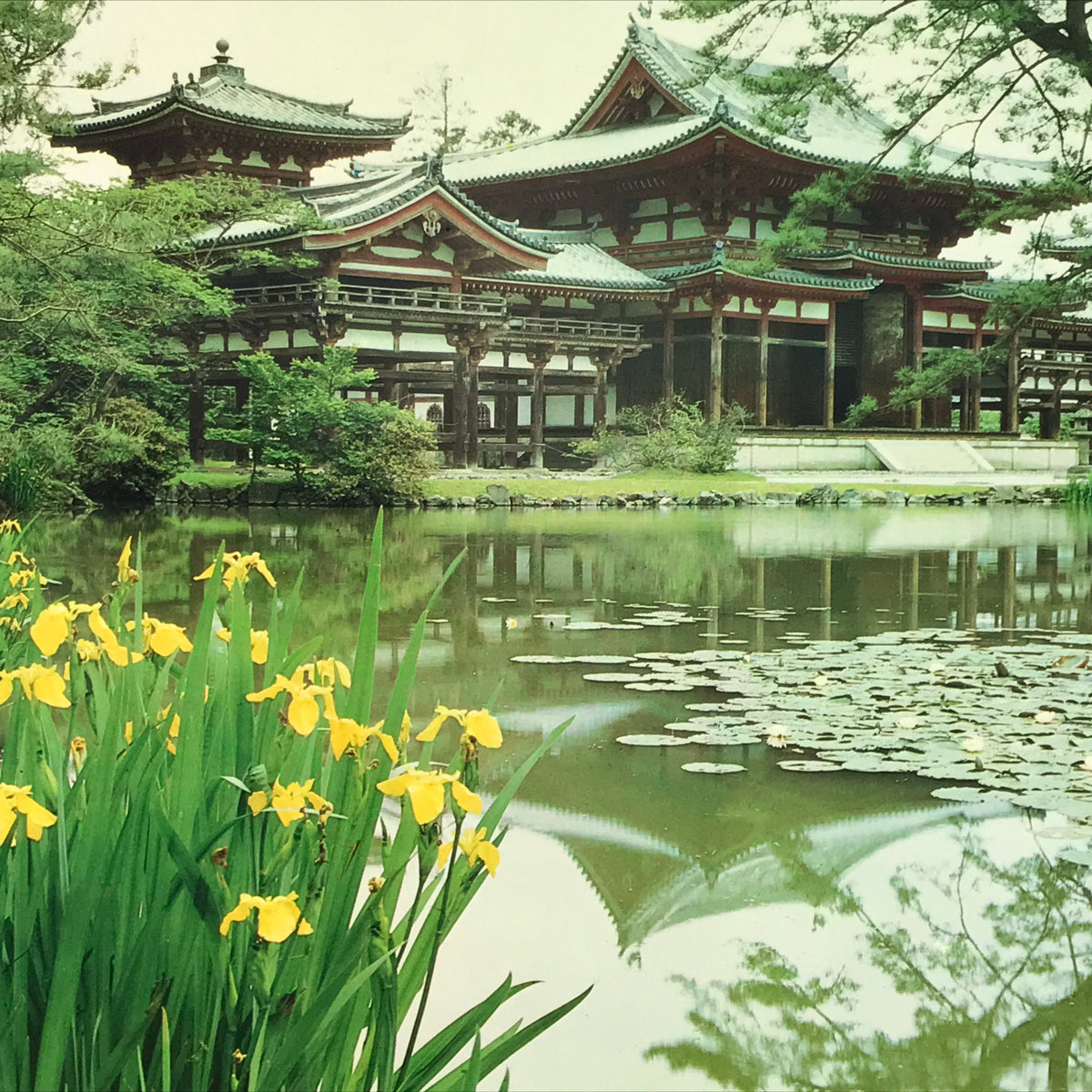 Japanese Large Postcard Byodoin Temple Kyoto Buddhist Phoenix Hall Color PC209-AD - Photo-chidorivintage.com