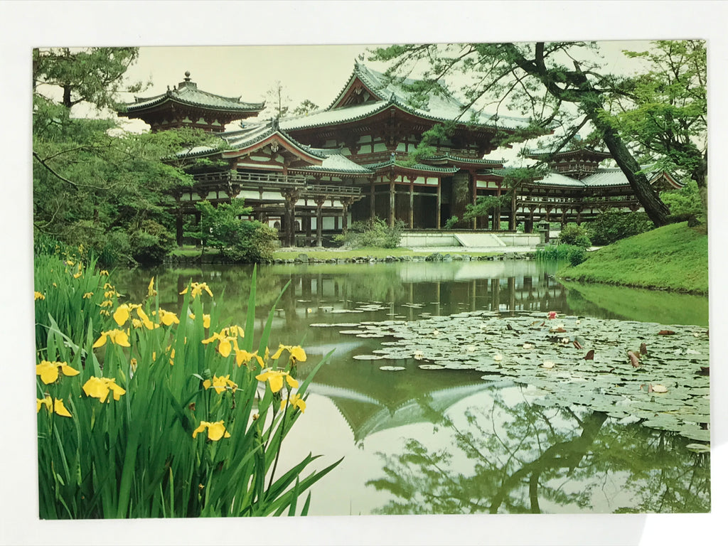 Japanese Large Postcard Byodoin Temple Kyoto Buddhist Phoenix Hall Color PC209-AD - Photo-chidorivintage.com