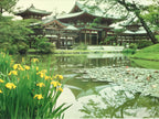Japanese Large Postcard Byodoin Temple Kyoto Buddhist Phoenix Hall Color PC209-AD - Photo-chidorivintage.com