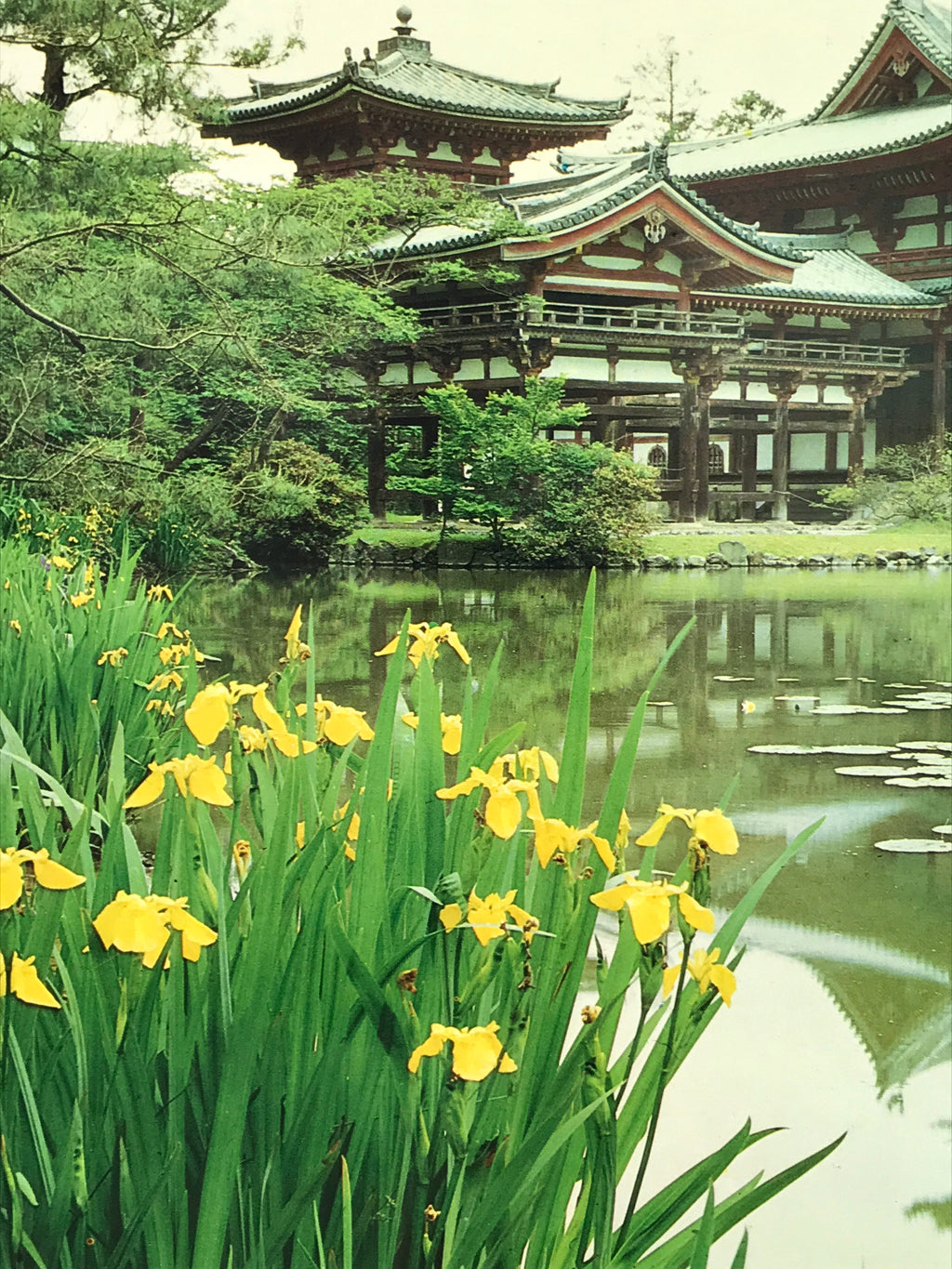 Japanese Large Postcard Byodoin Temple Kyoto Buddhist Phoenix Hall Color PC209-AD - Photo-chidorivintage.com
