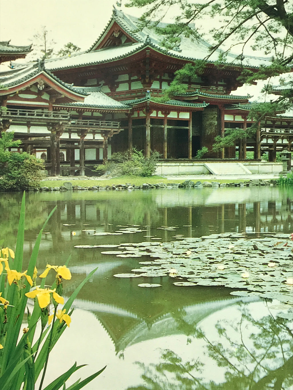 Japanese Large Postcard Byodoin Temple Kyoto Buddhist Phoenix Hall Color PC209-AD - Photo-chidorivintage.com
