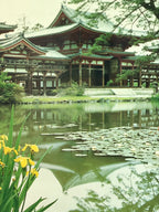 Japanese Large Postcard Byodoin Temple Kyoto Buddhist Phoenix Hall Color PC209-AD - Photo-chidorivintage.com