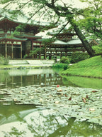 Japanese Large Postcard Byodoin Temple Kyoto Buddhist Phoenix Hall Color PC209-AD - Photo-chidorivintage.com