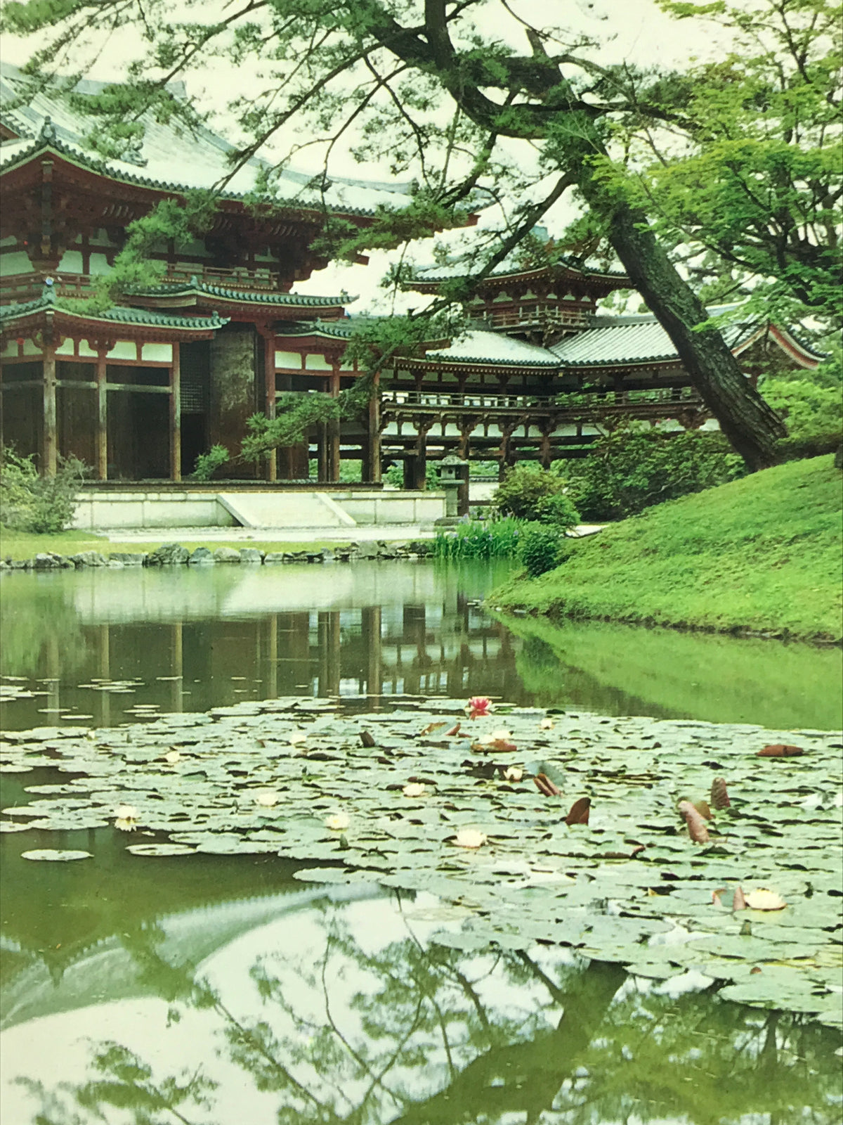 Japanese Large Postcard Byodoin Temple Kyoto Buddhist Phoenix Hall Color PC209-AD - Photo-chidorivintage.com