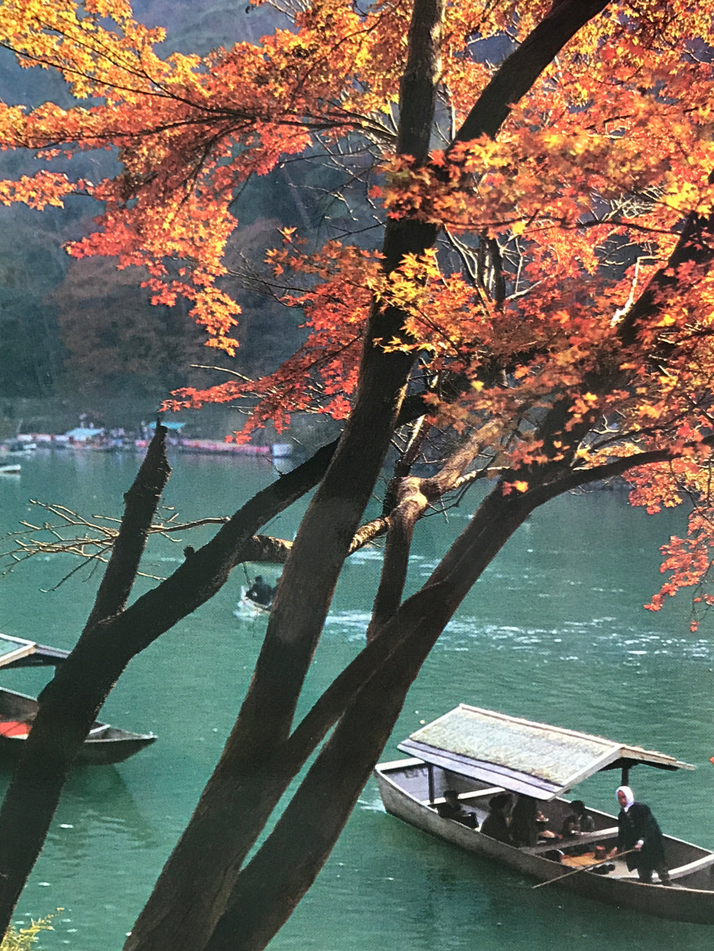 Japanese Large Postcard Arashiyama Hozugawa Vtg Kyoto River Boat Color PC210-AD - Photo-chidorivintage.com