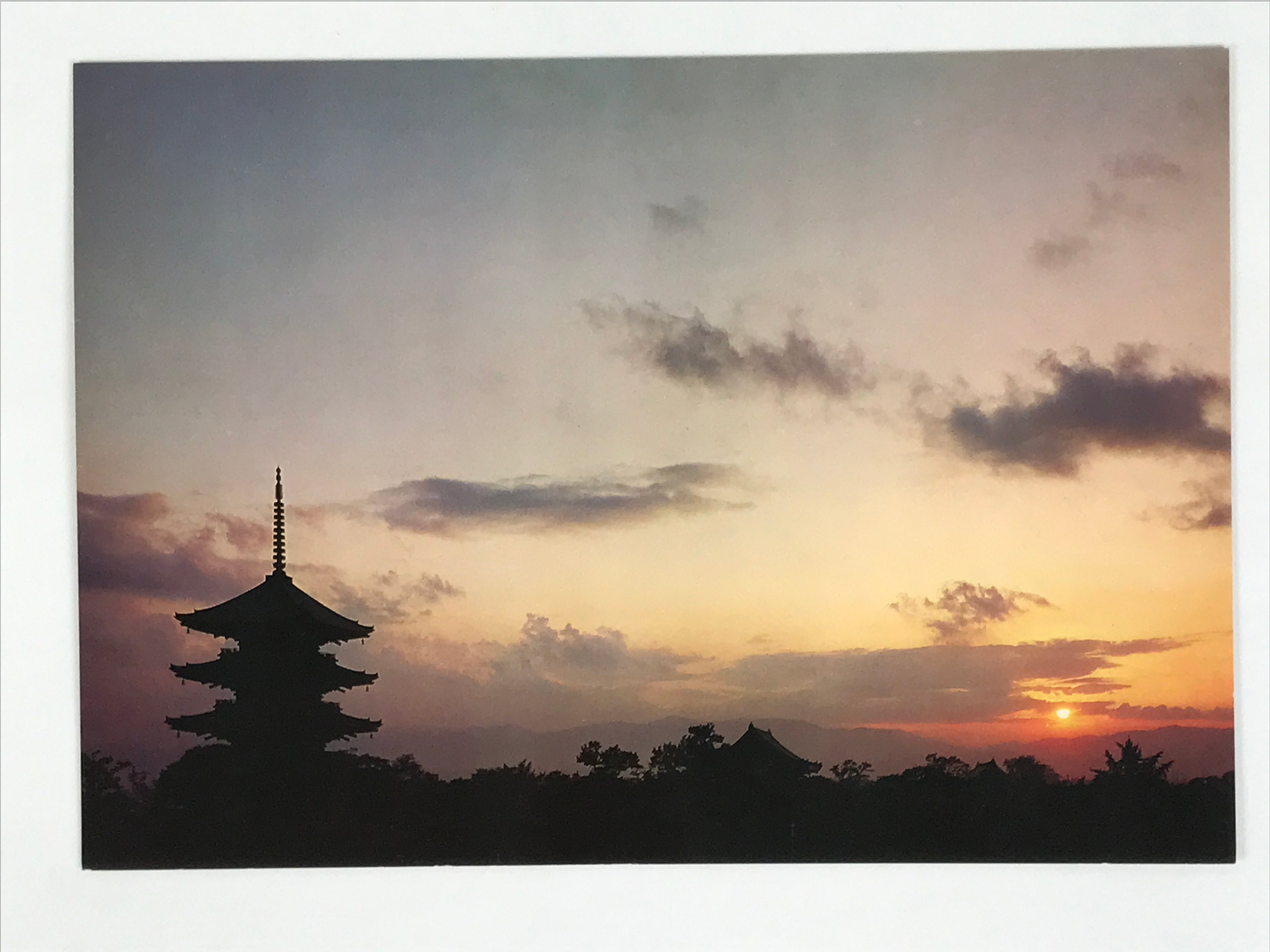Japanese Large Postcard Toji Temple Vtg Kyoto Buddhist Sunset Pagoda Color PC212-AD - Photo-chidorivintage.com
