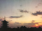 Japanese Large Postcard Toji Temple Vtg Kyoto Buddhist Sunset Pagoda Color PC212-AD - Photo-chidorivintage.com