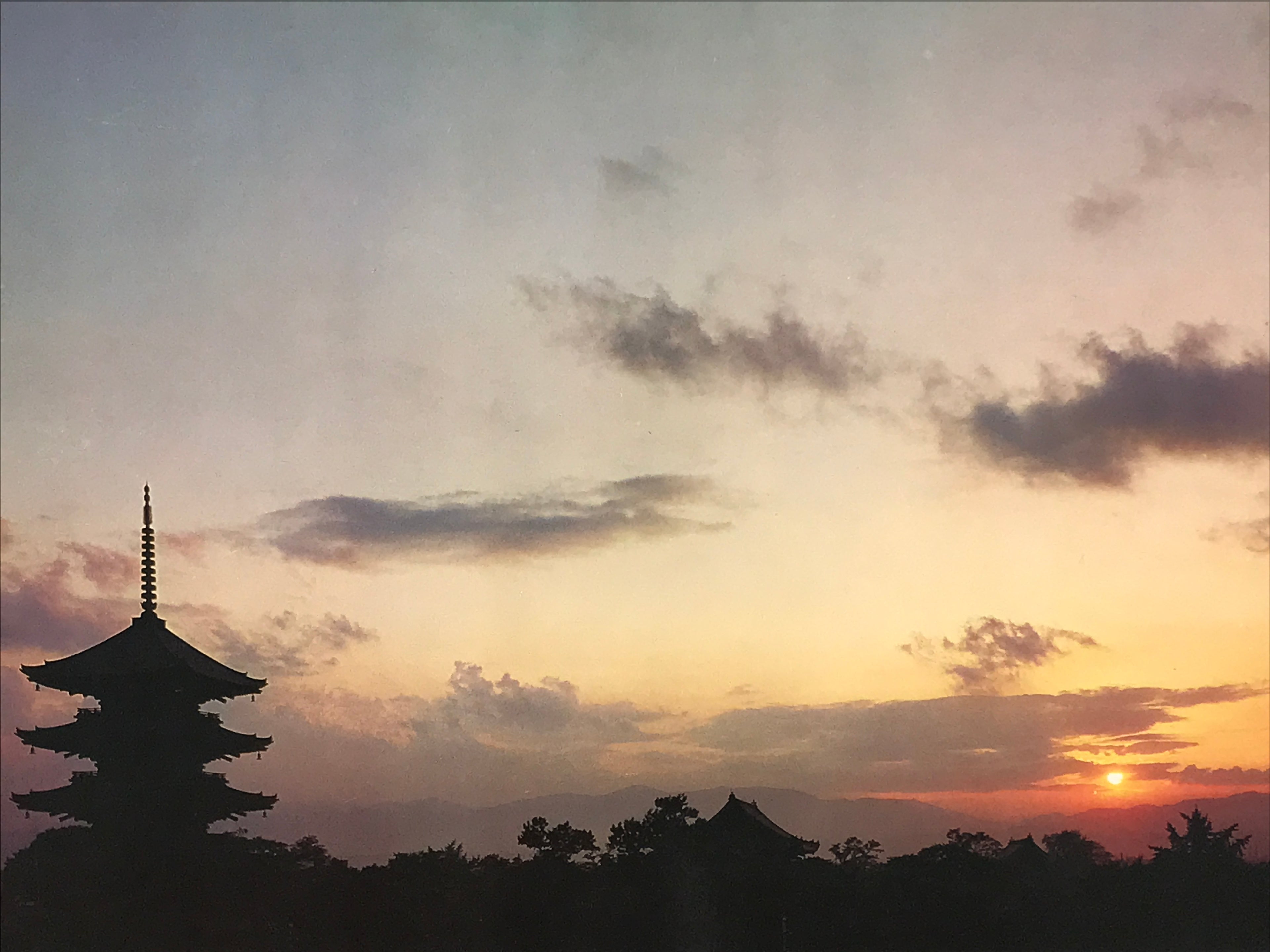 Japanese Large Postcard Toji Temple Vtg Kyoto Buddhist Sunset Pagoda Color PC212-AD - Photo-chidorivintage.com