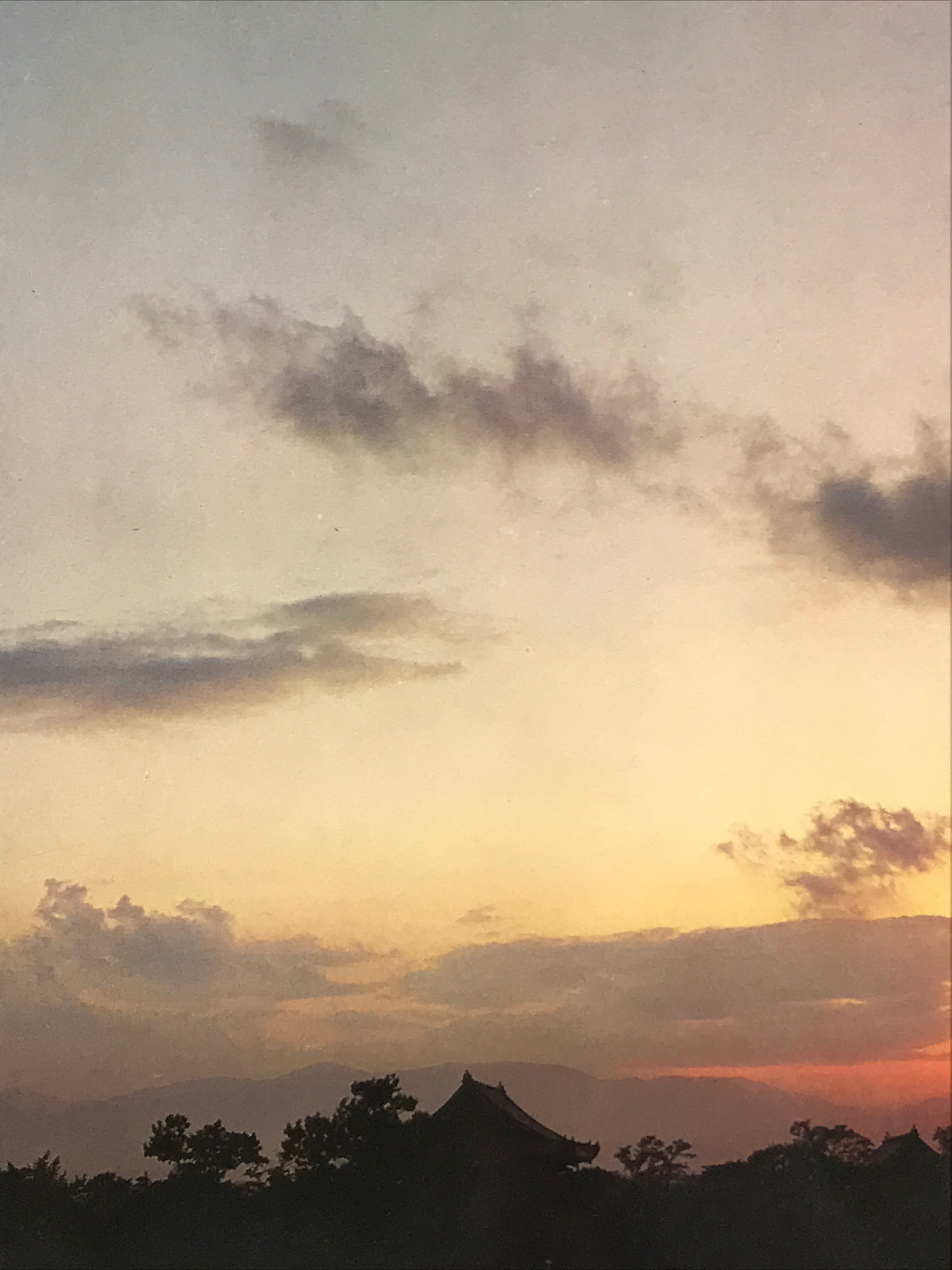 Japanese Large Postcard Toji Temple Vtg Kyoto Buddhist Sunset Pagoda Color PC212-AD - Photo-chidorivintage.com