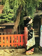 Japanese Large Postcard Maiko Girls Vtg Kyoto Geiko Geisha Kimono Color PC213-AD - Photo-chidorivintage.com