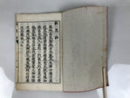 Japanese Buddhist Sutra Book Vtg Tannisho Lamentations Of Divergences Paper BT30-OT - Buddhist-chidorivintage.com