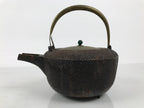 Antique Japanese Cast Iron Tetsubin Kettle Teapot Tea Ceremony Nanbu Tekki T171-KT - Kettle-chidorivintage.com