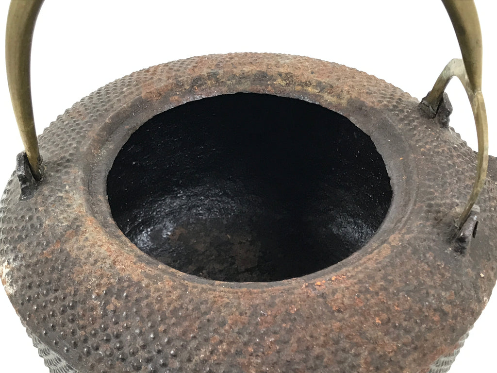 Antique Japanese Cast Iron Tetsubin Kettle Teapot Tea Ceremony Nanbu Tekki T171-KT - Kettle-chidorivintage.com