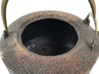 Antique Japanese Cast Iron Tetsubin Kettle Teapot Tea Ceremony Nanbu Tekki T171-KT - Kettle-chidorivintage.com