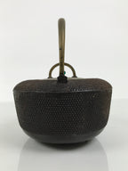 Antique Japanese Cast Iron Tetsubin Kettle Teapot Tea Ceremony Nanbu Tekki T172-KT - Kettle-chidorivintage.com