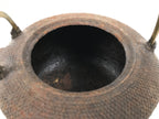 Antique Japanese Cast Iron Tetsubin Kettle Teapot Tea Ceremony Nanbu Tekki T172-KT - Kettle-chidorivintage.com