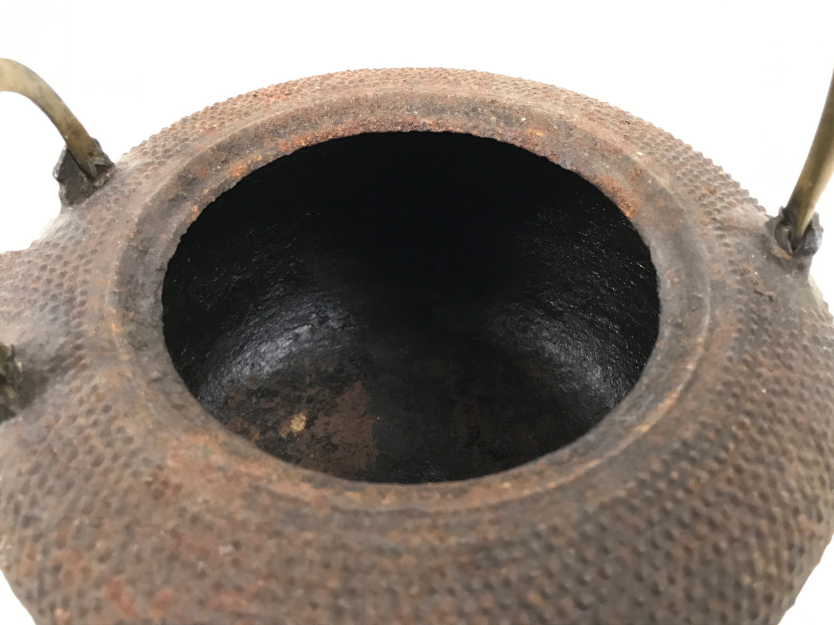 Antique Japanese Cast Iron Tetsubin Kettle Teapot Tea Ceremony Nanbu Tekki T172-KT - Kettle-chidorivintage.com