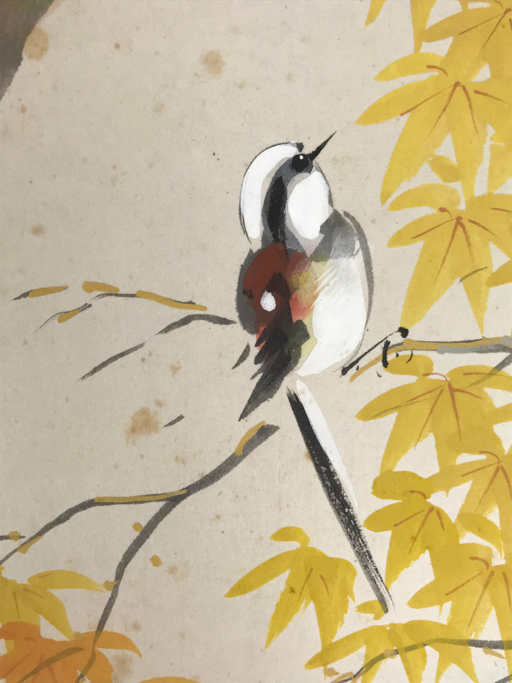 Japanese Shikishi Art Board Vtg Painting Autumn Leaves Momiji Small Bird A839-AD - Painting-chidorivintage.com