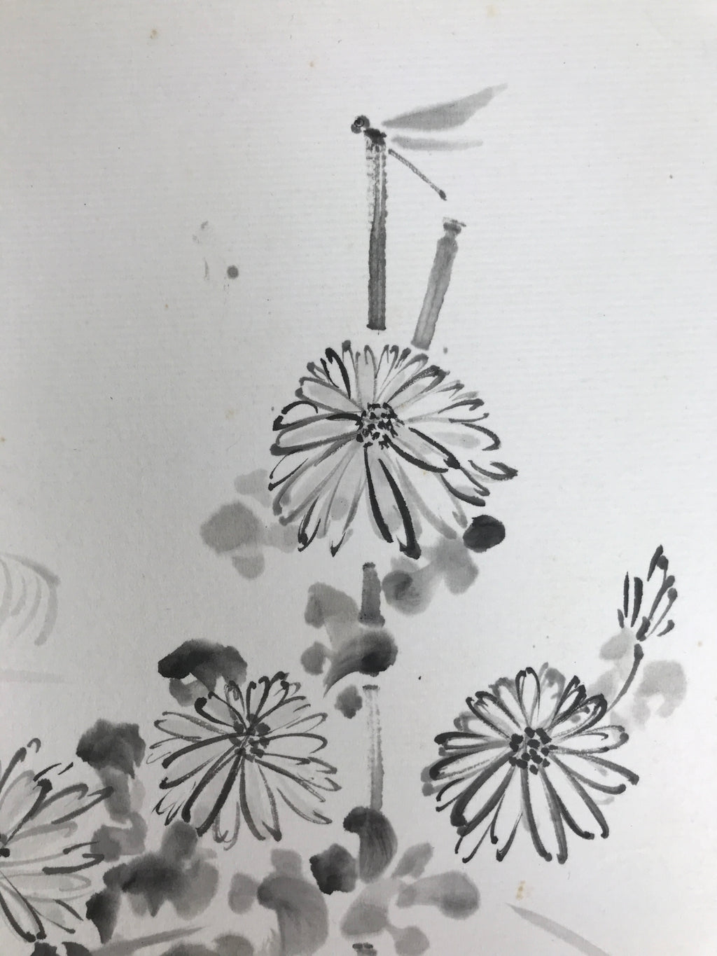 Japanese Shikishi Art Board Vtg Painting Black White Chrysanthemums Kiku A846-AD - Painting-chidorivintage.com