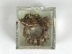 Japanese Akoya Pearl Resin Cube Oyster Display Vtg Ise Shima Toba Souvenir ST116-AD - Figurines-chidorivintage.com