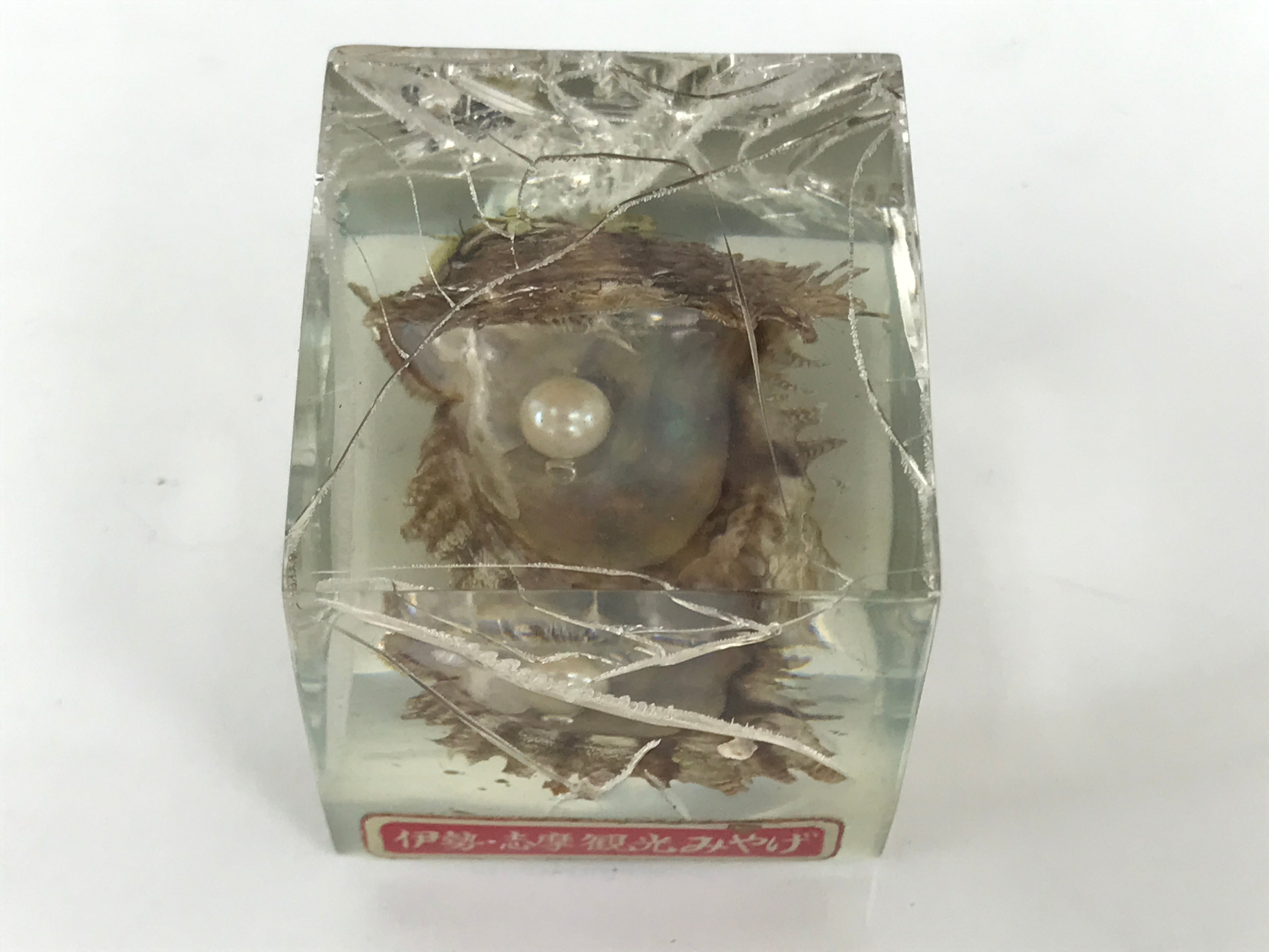 Japanese Akoya Pearl Resin Cube Oyster Display Vtg Ise Shima Toba Souvenir ST116-AD - Figurines-chidorivintage.com