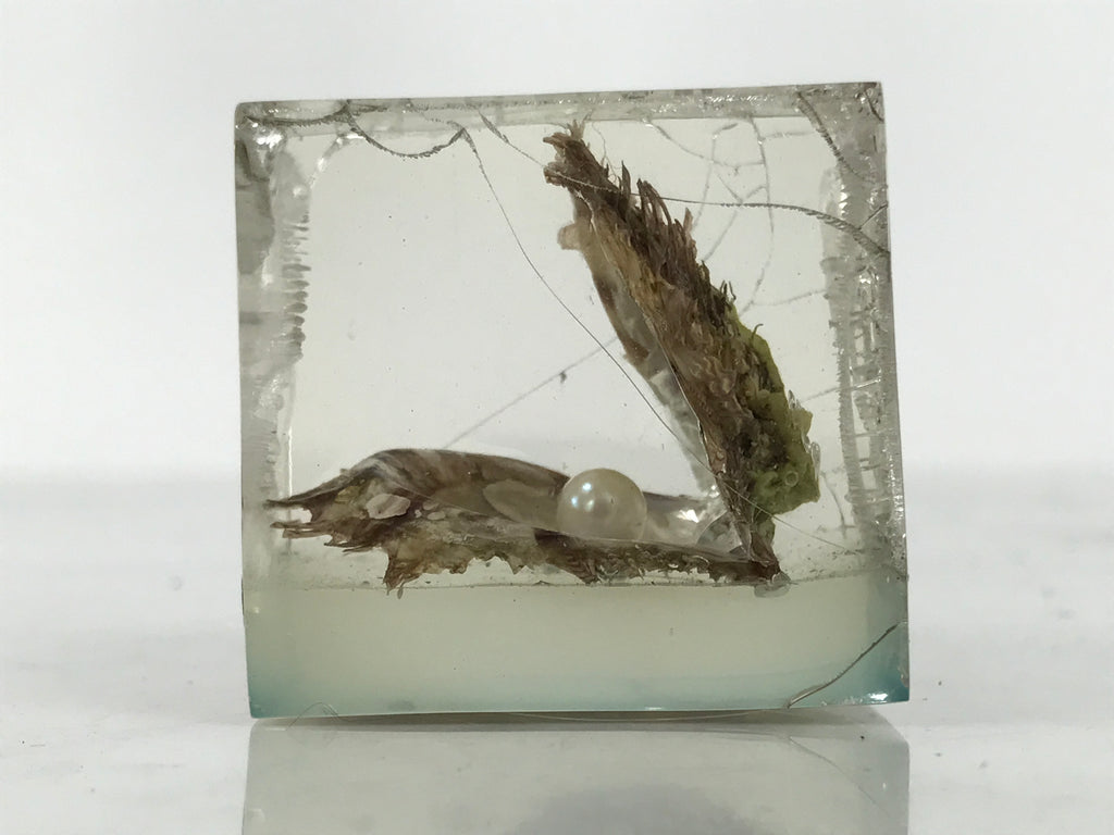 Japanese Akoya Pearl Resin Cube Oyster Display Vtg Ise Shima Toba Souvenir ST116-AD - Figurines-chidorivintage.com