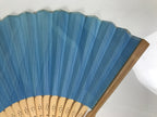 Japanese Paper Folding Fan Vtg Sensu Bamboo Cutout Frame Penguins Blue 5D54-AD - Fan-chidorivintage.com