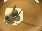 Japanese Lacquer Replica Resin Meimeizara Small Plate Tea Ceremony Floral L658-KT - Lacquerware-chidorivintage.com