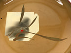 Japanese Lacquer Replica Resin Meimeizara Small Plate Tea Ceremony Floral L659-KT - Lacquerware-chidorivintage.com