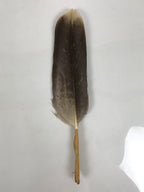 Japanese Feather Brush Broom Haboki Vtg Tsumami Hane Tea Ceremony Sado JK947-OT - Misc-chidorivintage.com