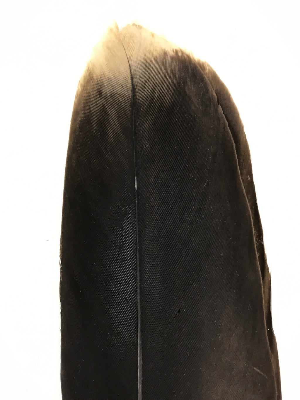 Japanese Feather Brush Broom Haboki Vtg Tsumami Hane Tea Ceremony Sado JK947-OT - Misc-chidorivintage.com