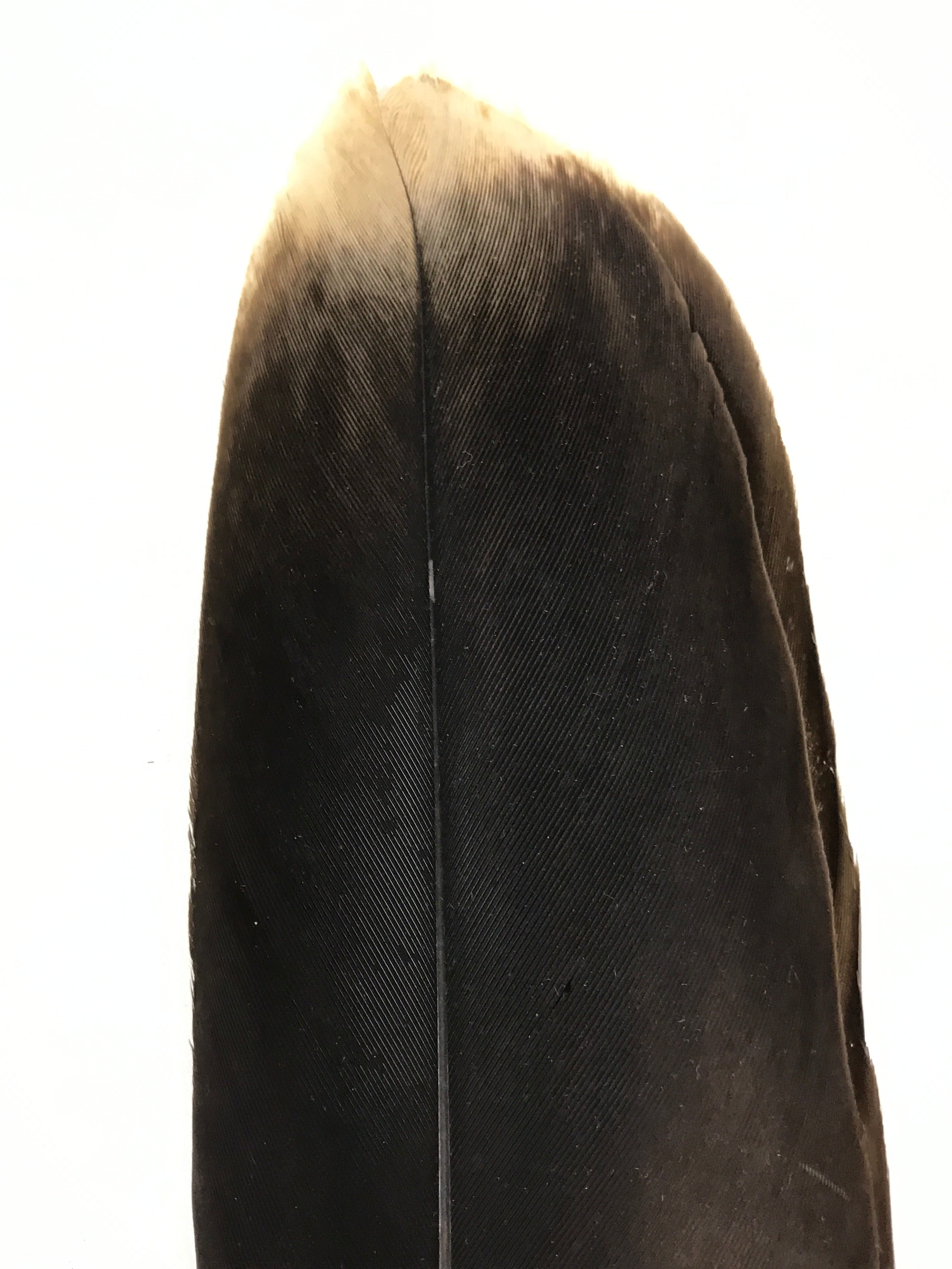 Japanese Feather Brush Broom Haboki Vtg Tsumami Hane Tea Ceremony Sado JK947-OT - Misc-chidorivintage.com
