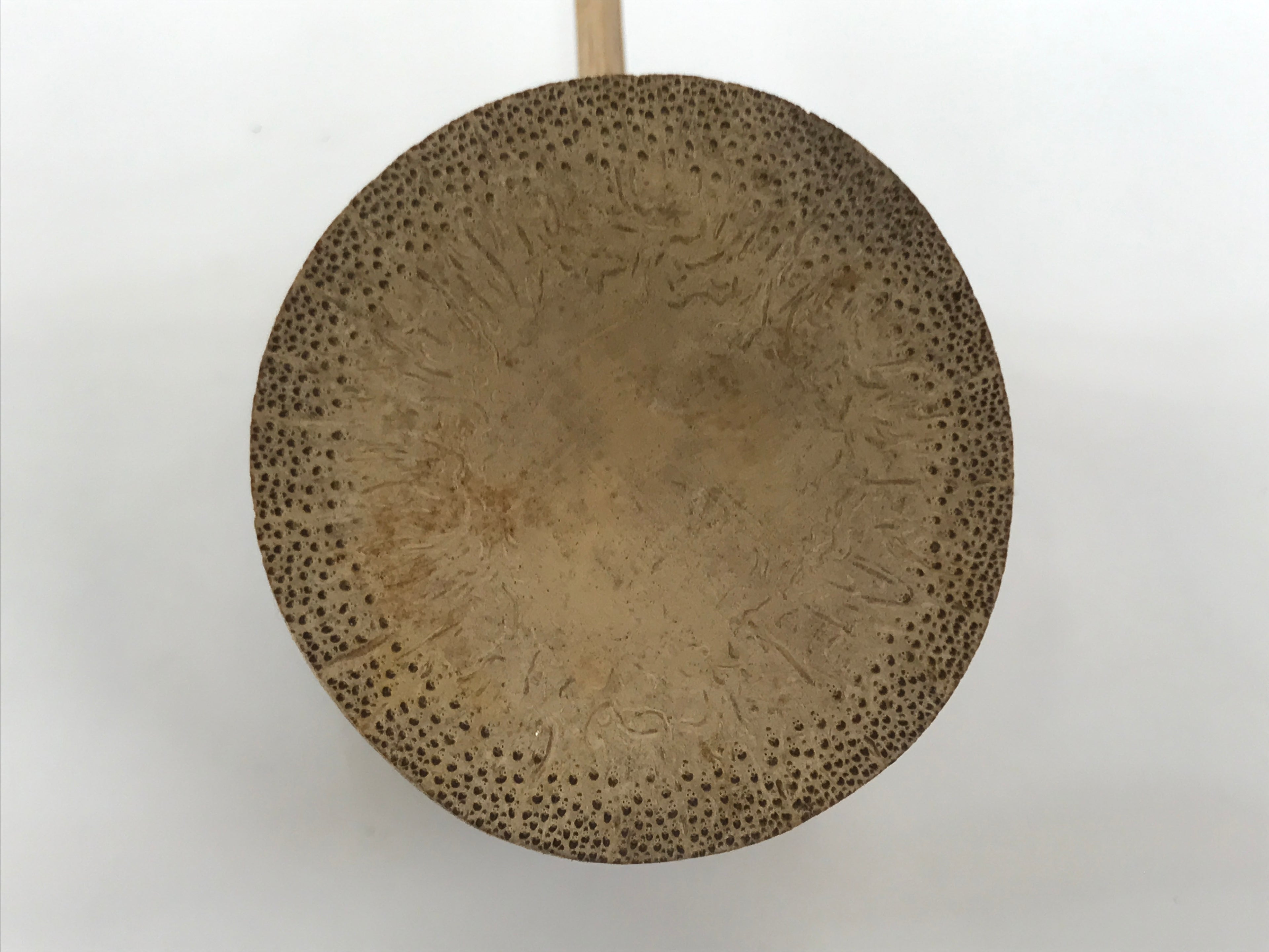 Japanese Bamboo Tea Ceremony Water Scoop Hishaku Sado Ladle Utensil TG184-KT - Tea Ceremony-chidorivintage.com