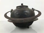 Antique Japanese Cast Iron Kettle Chagama Water Pot Tea Ceremony Floral C36-KT - Kettle-chidorivintage.com