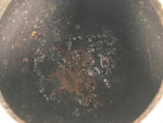 Antique Japanese Cast Iron Kettle Chagama Water Pot Tea Ceremony Floral C36-KT - Kettle-chidorivintage.com