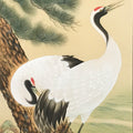 Japanese Hanging Scroll Kakejiku Vtg Two Cranes Pine Tree Red Sun Color KJ202-AD - Scroll-chidorivintage.com