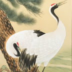 Japanese Hanging Scroll Kakejiku Vtg Two Cranes Pine Tree Red Sun Color KJ202-AD - Scroll-chidorivintage.com