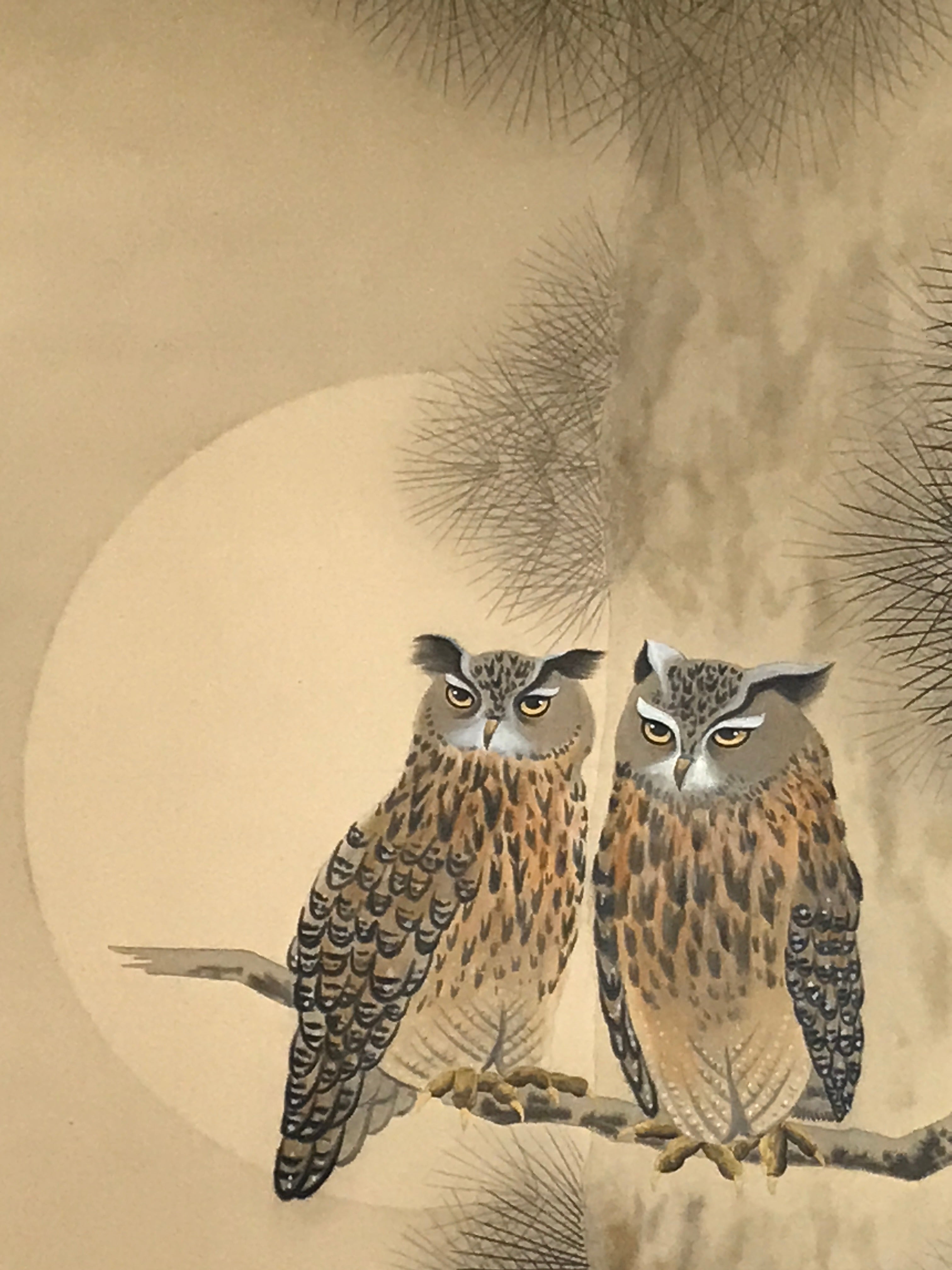 Japanese Hanging Scroll Kakejiku Vtg Two Owls Pine Tree Moonlight Color KJ206-AD - Scroll-chidorivintage.com