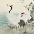 Japanese Hanging Scroll Kakejiku Vtg Two Cranes Two Turtles Pine Sun Color KJ209-AD - Scroll-chidorivintage.com