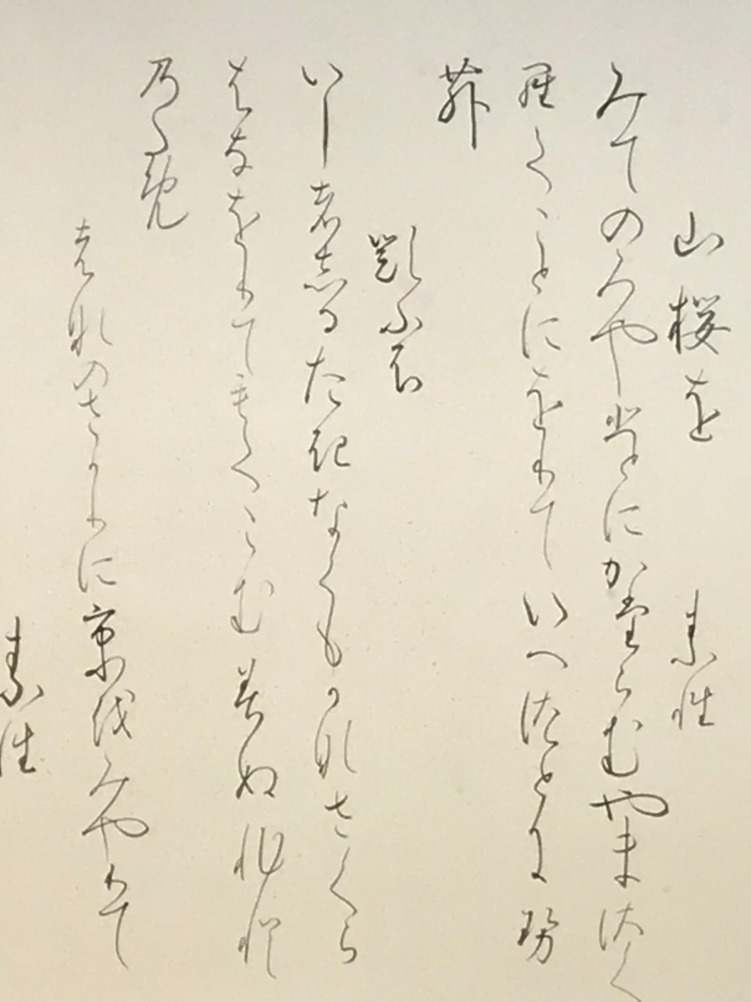 Japanese Hanging Scroll Vtg Kakejiku Poetry Wild Sakura Flower Calligraphy KJ225-AD - Scroll-chidorivintage.com