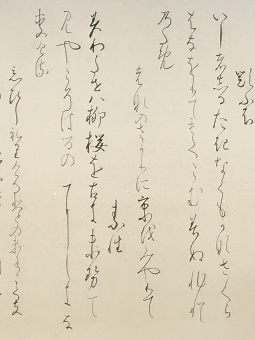 Japanese Hanging Scroll Vtg Kakejiku Poetry Wild Sakura Flower Calligraphy KJ225-AD - Scroll-chidorivintage.com