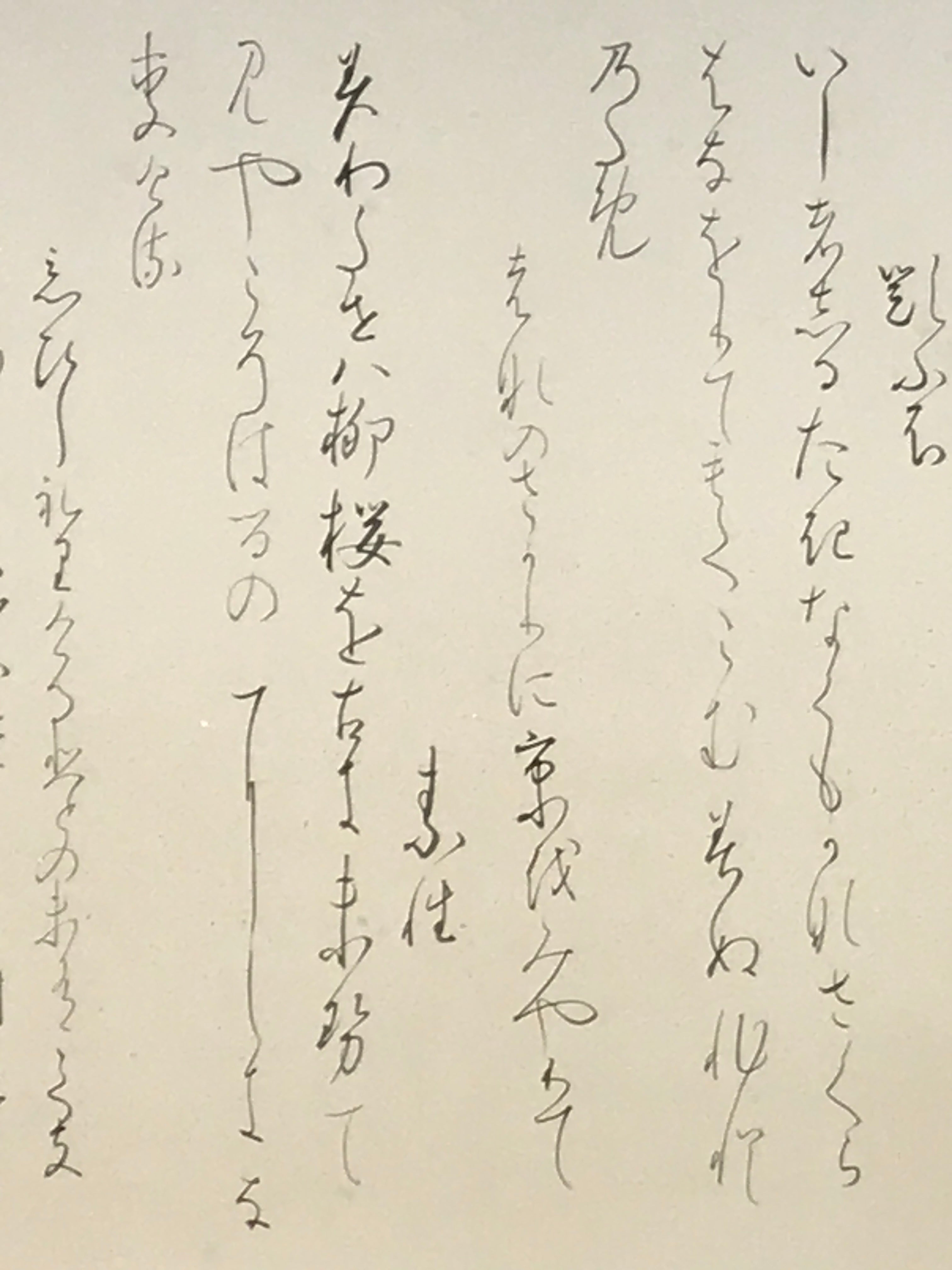 Japanese Hanging Scroll Vtg Kakejiku Poetry Wild Sakura Flower Calligraphy KJ225-AD - Scroll-chidorivintage.com