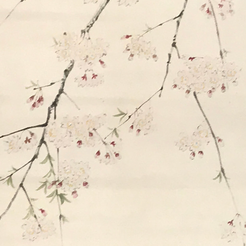 Japanese Hanging Scroll Kakejiku Vtg Sakura Cherry Blossoms Flower Color KJ230-AD - Scroll-chidorivintage.com