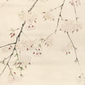 Japanese Hanging Scroll Kakejiku Vtg Sakura Cherry Blossoms Flower Color KJ230-AD - Scroll-chidorivintage.com
