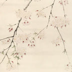 Japanese Hanging Scroll Kakejiku Vtg Sakura Cherry Blossoms Flower Color KJ230-AD - Scroll-chidorivintage.com