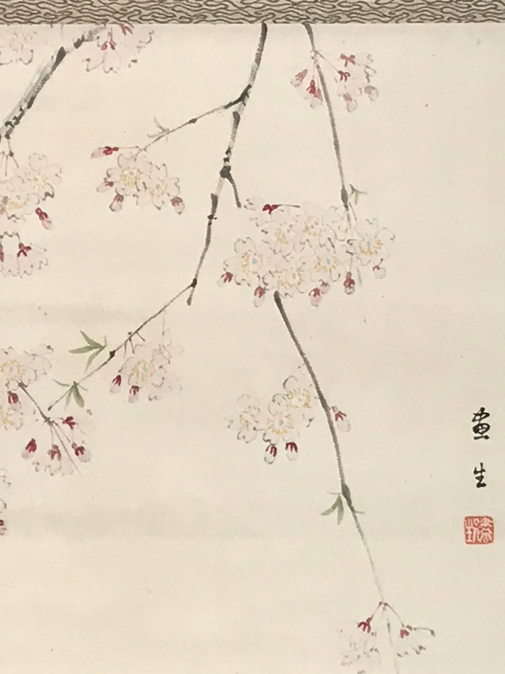 Japanese Hanging Scroll Kakejiku Vtg Sakura Cherry Blossoms Flower Color KJ230-AD - Scroll-chidorivintage.com