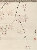 Japanese Hanging Scroll Kakejiku Vtg Sakura Cherry Blossoms Flower Color KJ230-AD - Scroll-chidorivintage.com