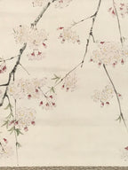 Japanese Hanging Scroll Kakejiku Vtg Sakura Cherry Blossoms Flower Color KJ230-AD - Scroll-chidorivintage.com