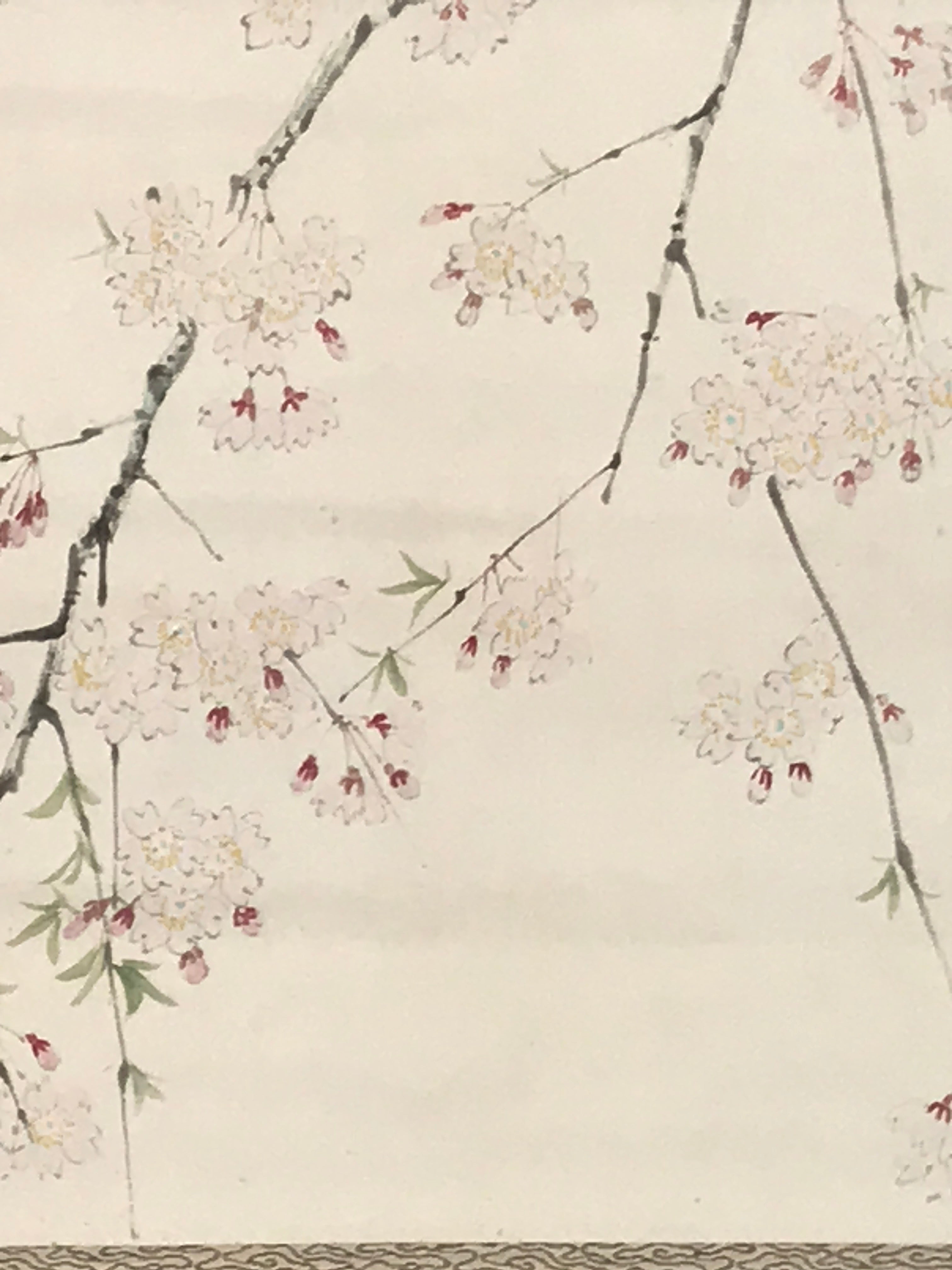 Japanese Hanging Scroll Kakejiku Vtg Sakura Cherry Blossoms Flower Color KJ230-AD - Scroll-chidorivintage.com