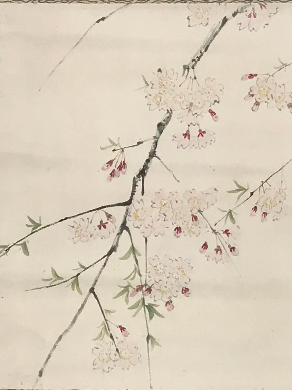 Japanese Hanging Scroll Kakejiku Vtg Sakura Cherry Blossoms Flower Color KJ230-AD - Scroll-chidorivintage.com